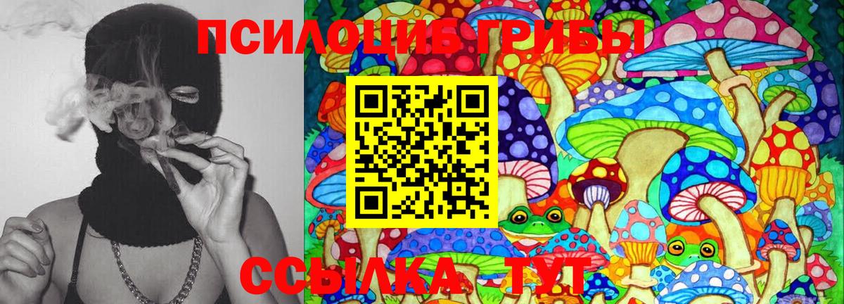 Галлюциногенные грибы Psilocybine cubensis  купить закладку  Псилоцибиновые грибы Magic Shrooms  Моршанск  Вход с VPN 