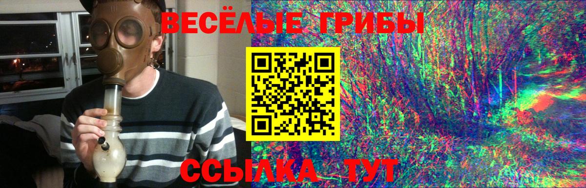 Псилоцибиновые грибы мухоморы Моршанск